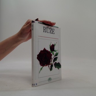 Růže