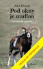 Sub ferestre este muflon
