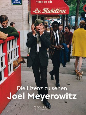 Licență de a vedea: Joel Meyerowitz