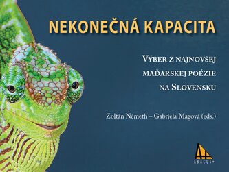 Capacitate infinită