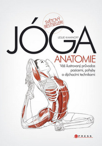 YOGA - anatomie