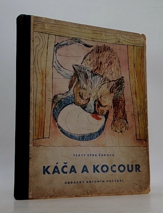 Káča a kocour