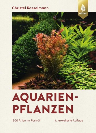 Plante pentru acvariu