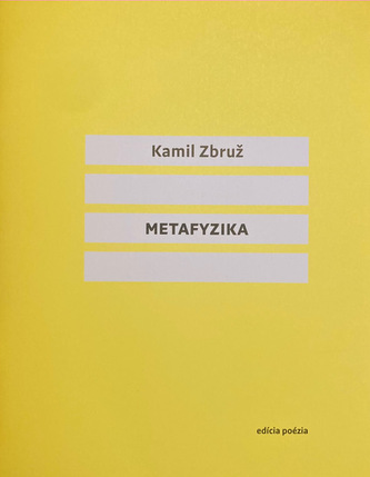 Metafizică
