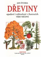 Dřeviny