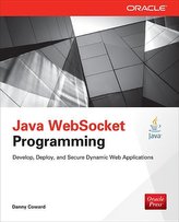 Programare Java WebSocket