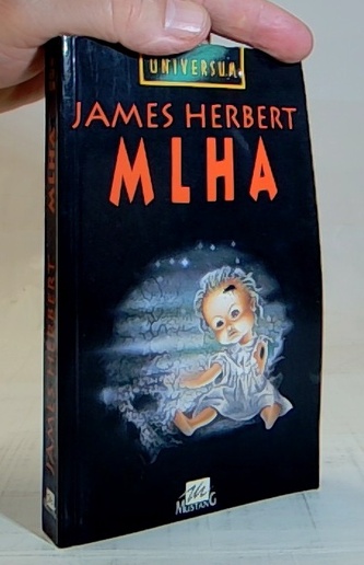 Mlha