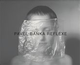 Pavel Baňka Reflexii