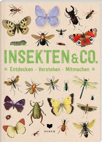 INSECTE & Co.