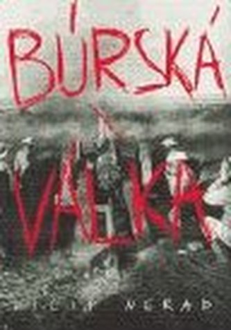 Războiul burilor
