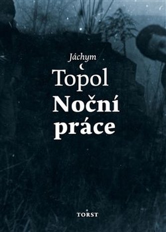 Muncă de noapte