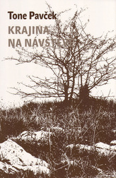 Peisaj în vizită