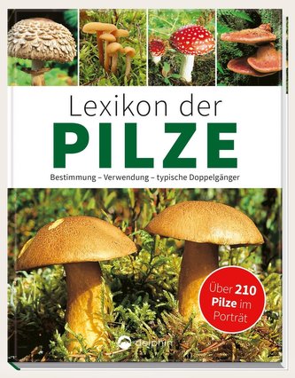 Lexiconul ciupercilor - identificare, utilizare, dubluri tipice