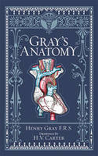 Anatomia lui Gray