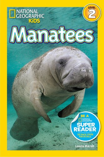 Manate