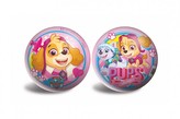 Minge umflată Paw Patrol, diametru 20 cm