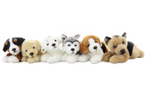 Plus Câine 23 cm