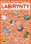Labirinturi