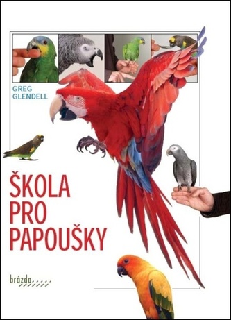 Scoala pentru papagali