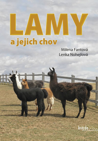 Lamy şi creşterea lor