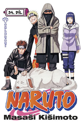 Naruto 34 - Reuniune