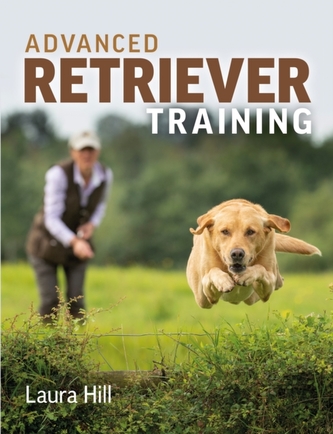 Antrenament avansat pentru retriever
