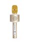 Microfon karaoke Bluetooth auriu pe baterii cu cablu USB în cutie 10x28x8,5cm