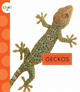 Geckoni
