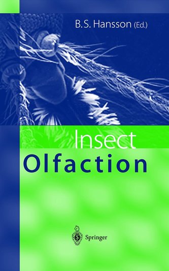 Olfacția insectelor