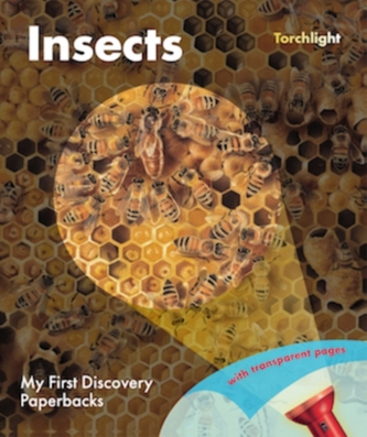 Insecte