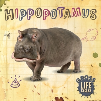 Hipopotam