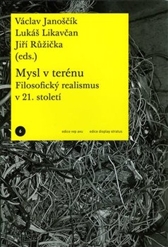 Mintea pe teren