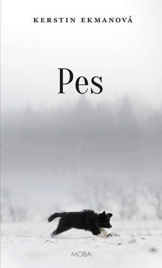 Câine