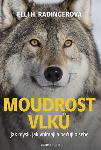 Înțelepciunea lupilor