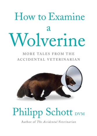How To Examine A Wolverine