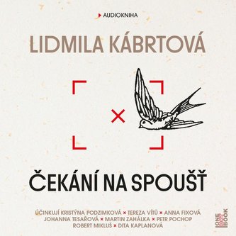 Așteptarea declanșatorului - CD mp3