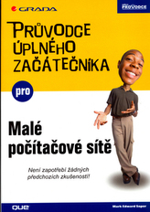 Rețele mici de calculatoare