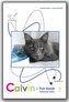Calvin's Fun Book - Carte distractivă 1