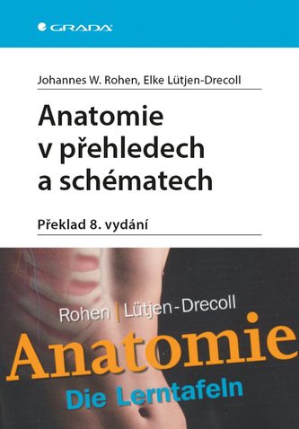 Anatomie în rezumate și scheme