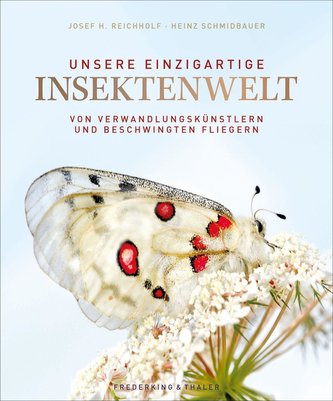 Lumea noastră unică a insectelor