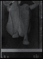 Replica