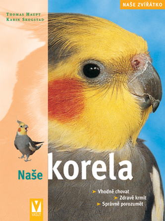 Corela noastră