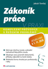 Codul muncii în practică - Ghid complex cu rezolvarea problemelor