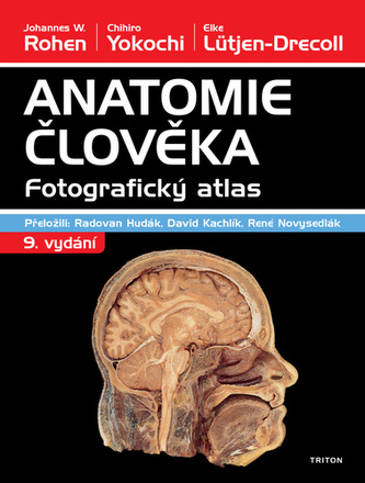 Anatomia omului