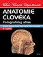 Anatomia omului