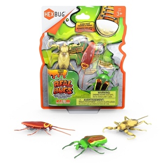 HEXBUG Real Bugs - set de 3