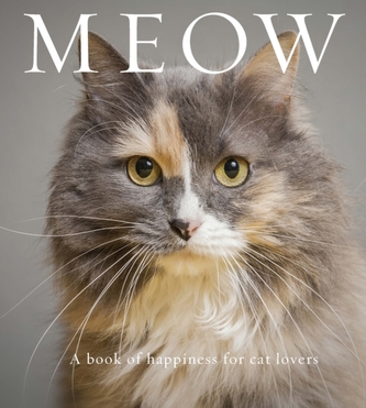 Miau