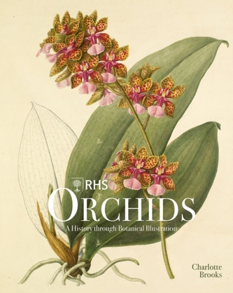 Orhideele RHS