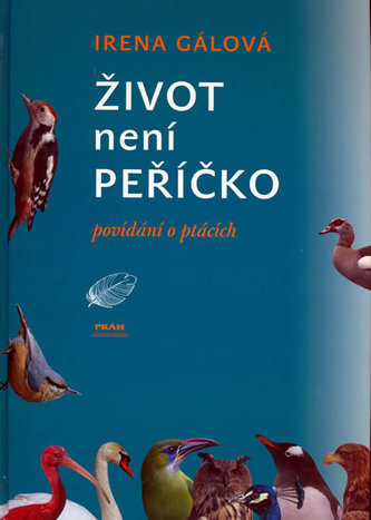 Viața nu e floare la ureche