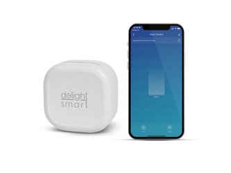 Buton ascuns Smart DELIGHT 55357